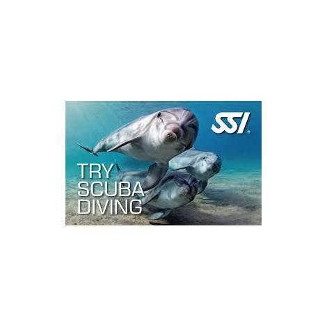 Try Scuba